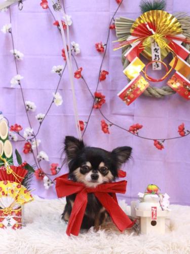 20230129アリューくん